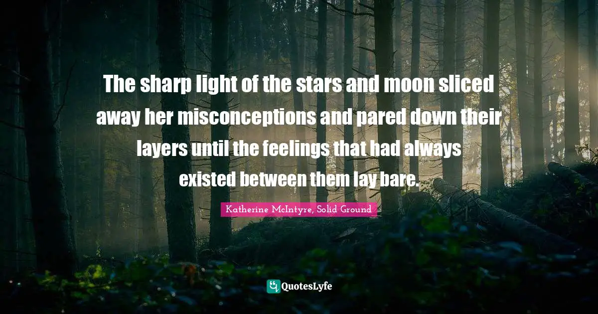The sharp light of the stars and moon sliced away her misconceptions and pared down their layers until the feelings that had always existed between them lay bare.