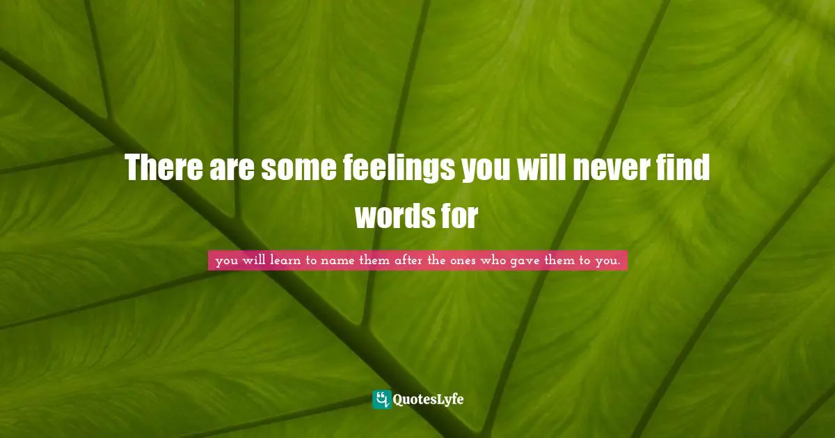 There are some feelings you will never find words for