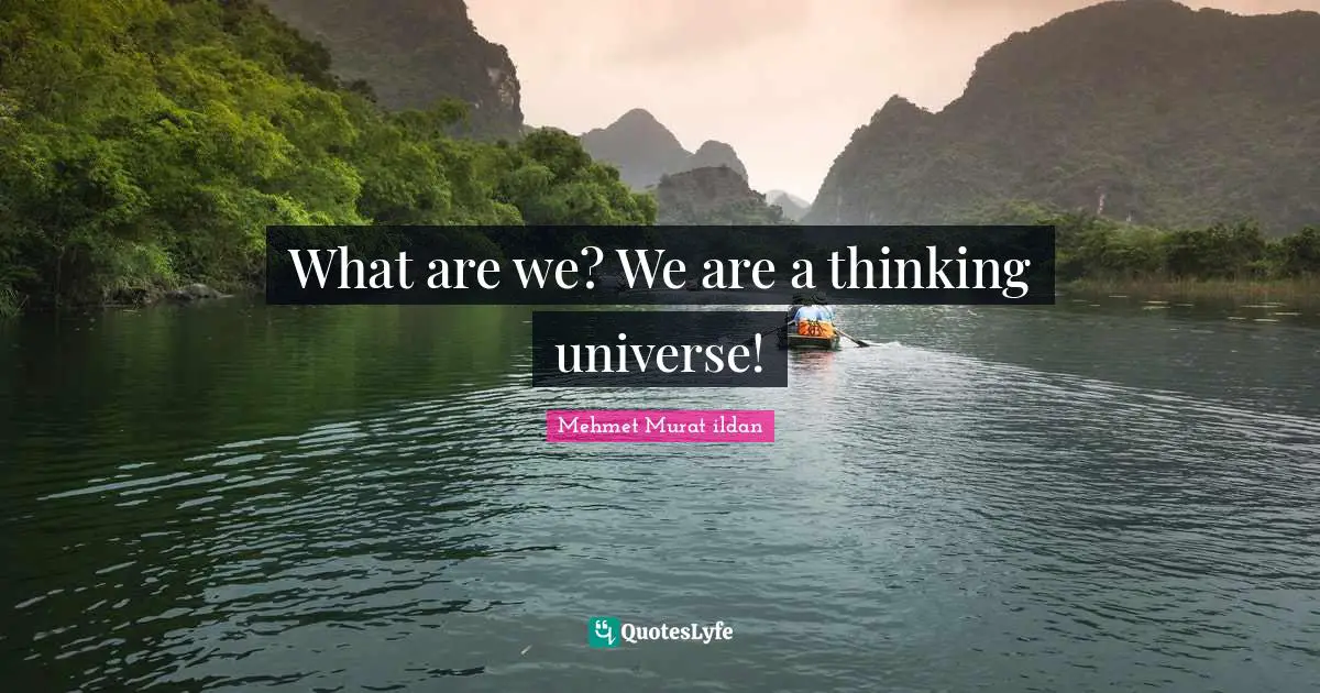 What are we? We are a thinking universe!
