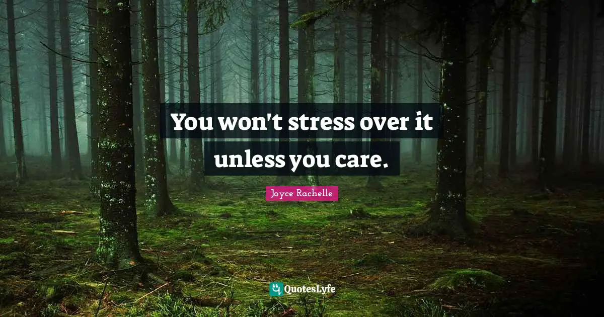 Joyce Rachelle Quotes: You won't stress over it unless you care.