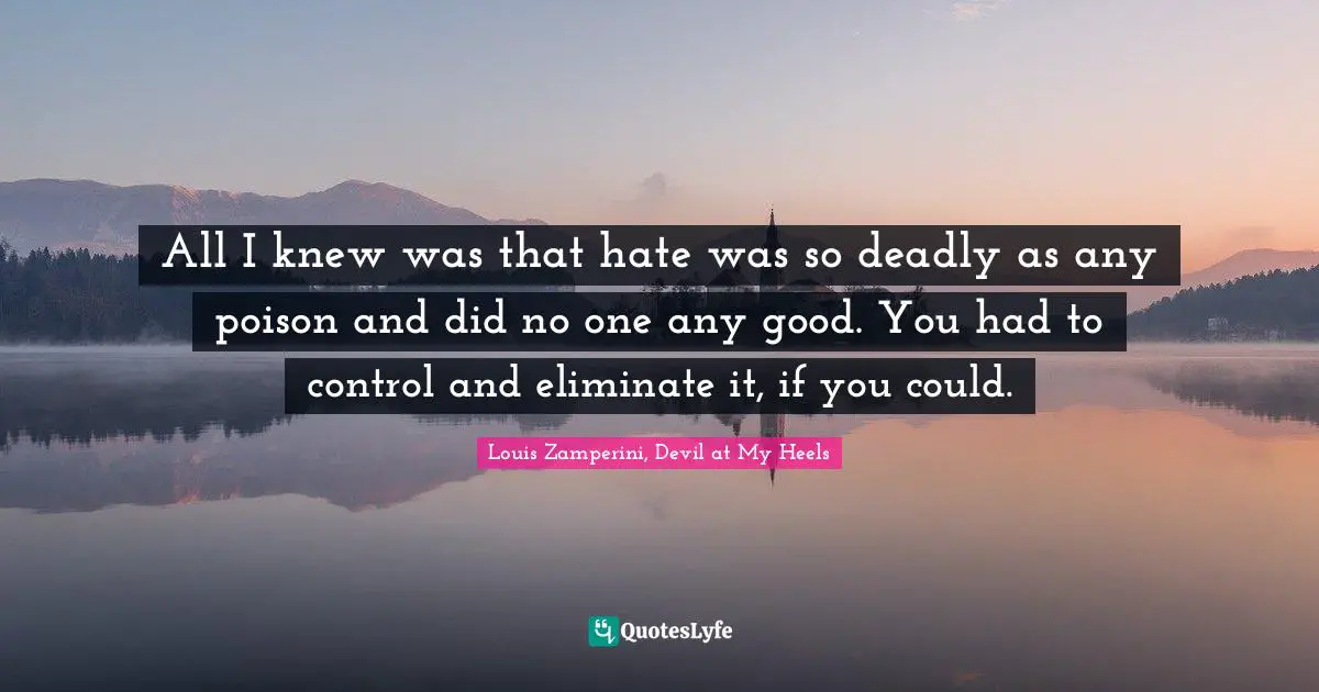 All I knew was that hate was so deadly as any poison and did no one any good. You had to control and eliminate it, if you could.