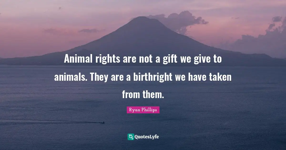 Animal rights are not a gift we give to animals. They are a birthright we have taken from them.