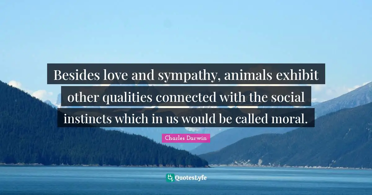 Charles Darwin Quotes: "Besides love and sympathy, animals exhibit other qualities connected with the social instincts which in us would be called moral."