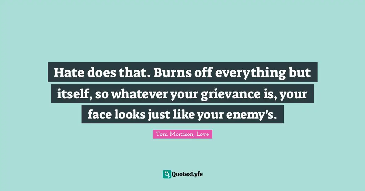 Hate does that. Burns off everything but itself, so whatever your grievance is, your face looks just like your enemy's.