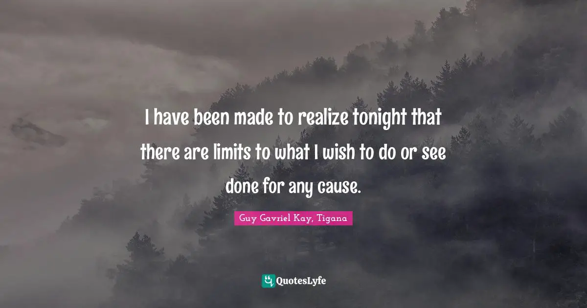 I have been made to realize tonight that there are limits to what I wish to do or see done for any cause.