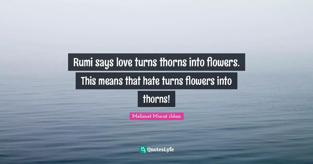 Rumi says love turns thorns into flowers. This means that hate turns flowers into thorns!