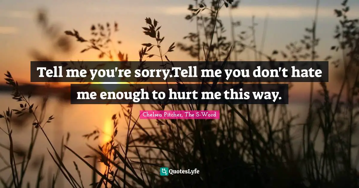 Tell me you're sorry.Tell me you don't hate me enough to hurt me this way.