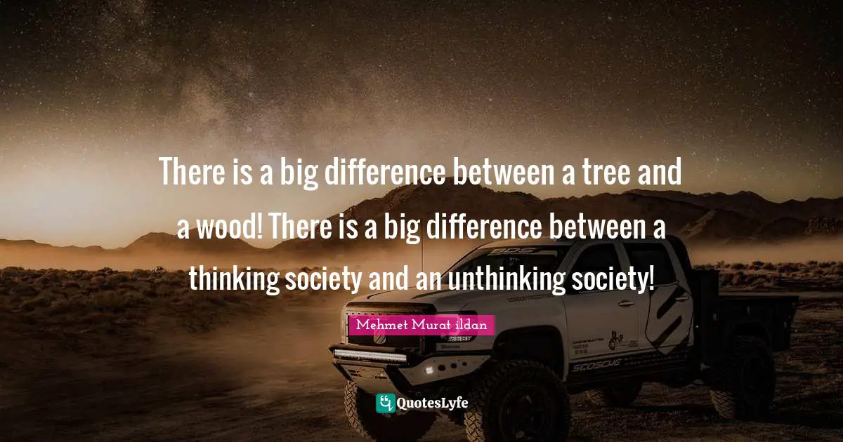 There is a big difference between a tree and a wood! There is a big difference between a thinking society and an unthinking society!
