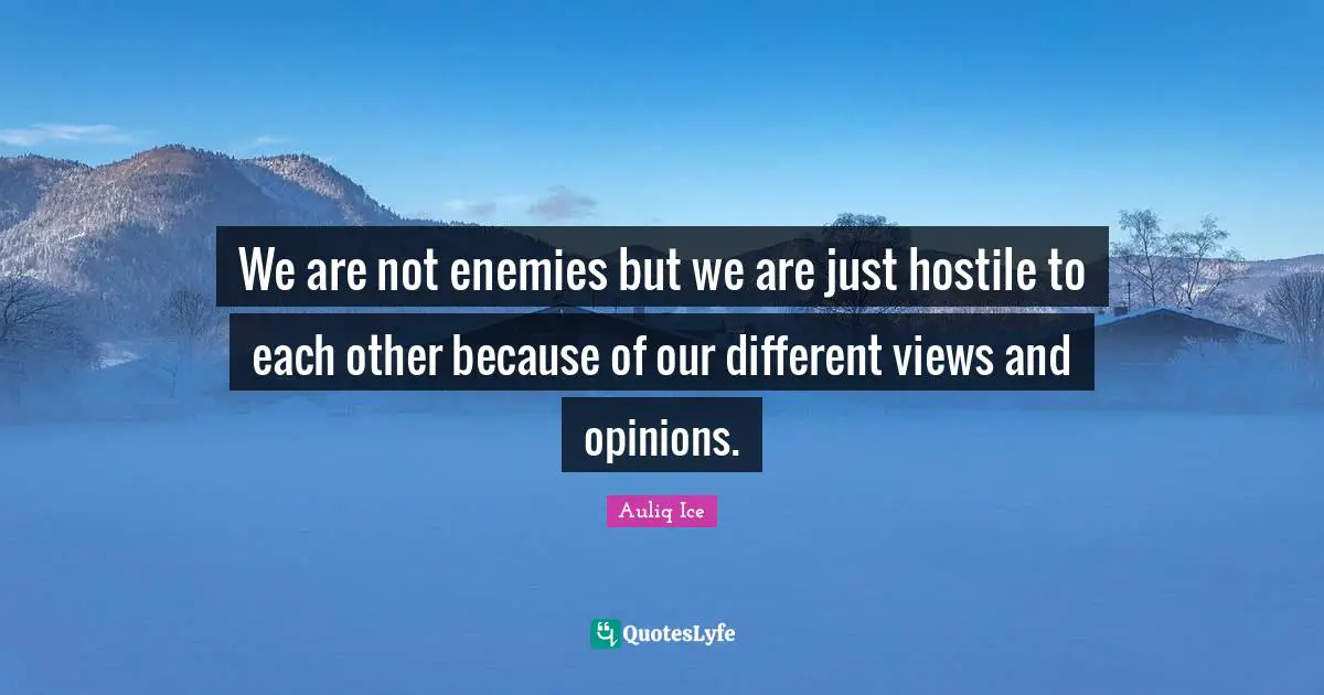 We are not enemies but we are just hostile to each other because of our different views and opinions.