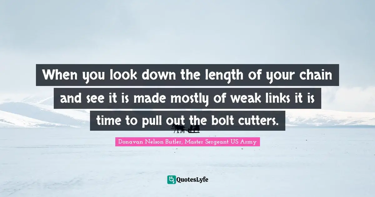 When you look down the length of your chain and see it is made mostly of weak links it is time to pull out the bolt cutters.