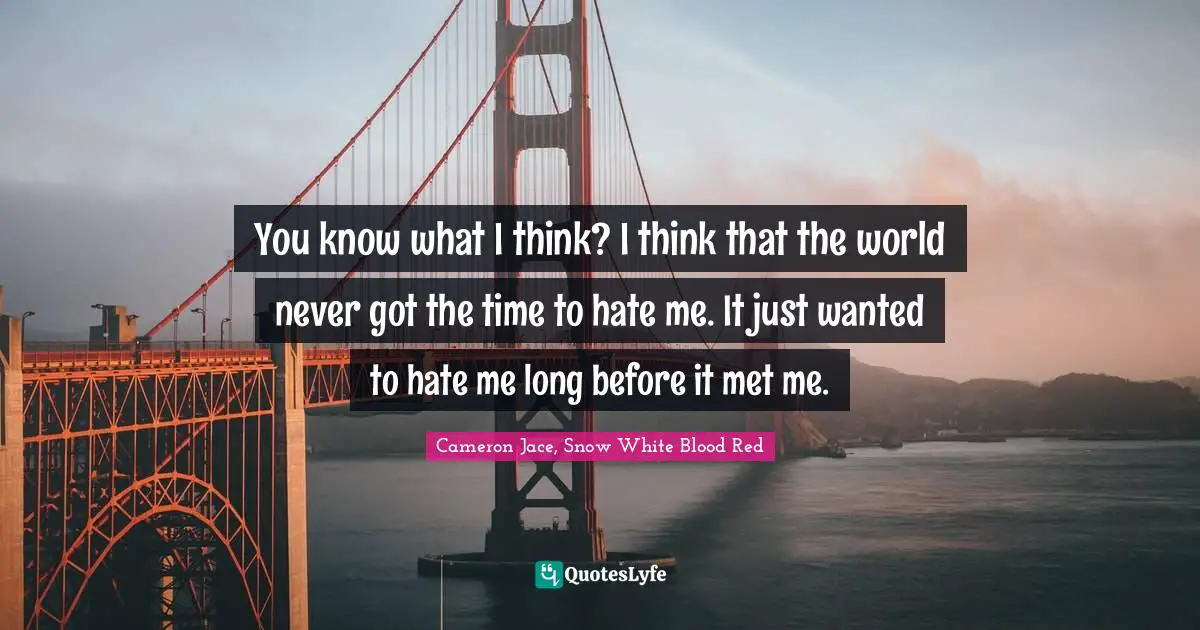 You know what I think? I think that the world never got the time to hate me. It just wanted to hate me long before it met me.