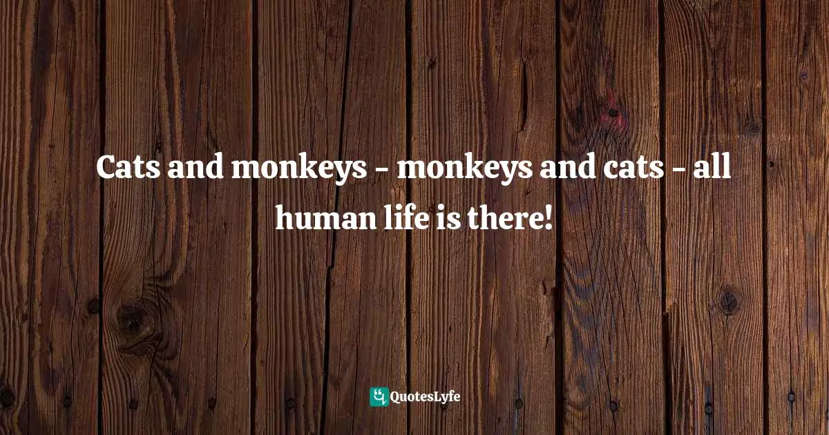 Cats and monkeys - monkeys and cats - all human life is there!