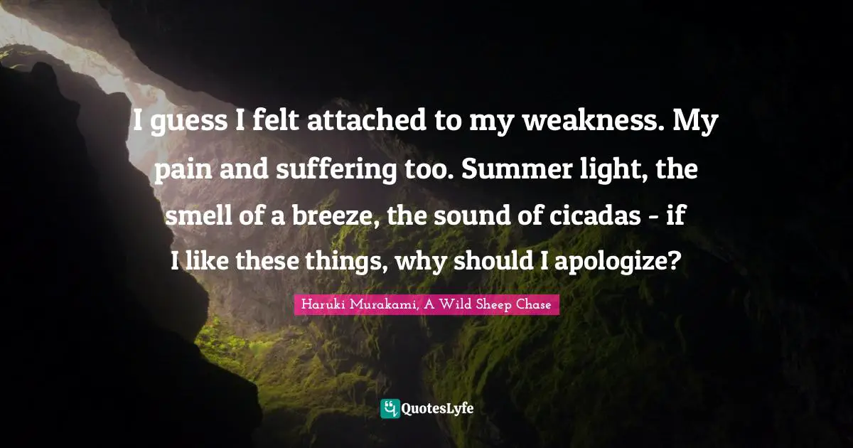 I guess I felt attached to my weakness. My pain and suffering too. Summer light, the smell of a breeze, the sound of cicadas - if I like these things, why should I apologize?