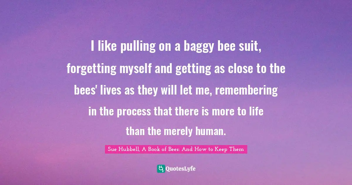 I like pulling on a baggy bee suit, forgetting myself and getting as close to the bees' lives as they will let me, remembering in the process that there is more to life than the merely human.