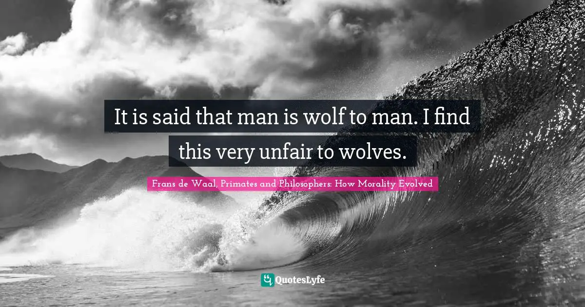 It is said that man is wolf to man. I find this very unfair to wolves.