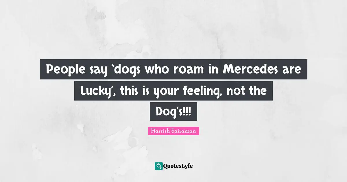 People say ‘dogs who roam in Mercedes are Lucky’, this is your feeling, not the Dog’s!!!
