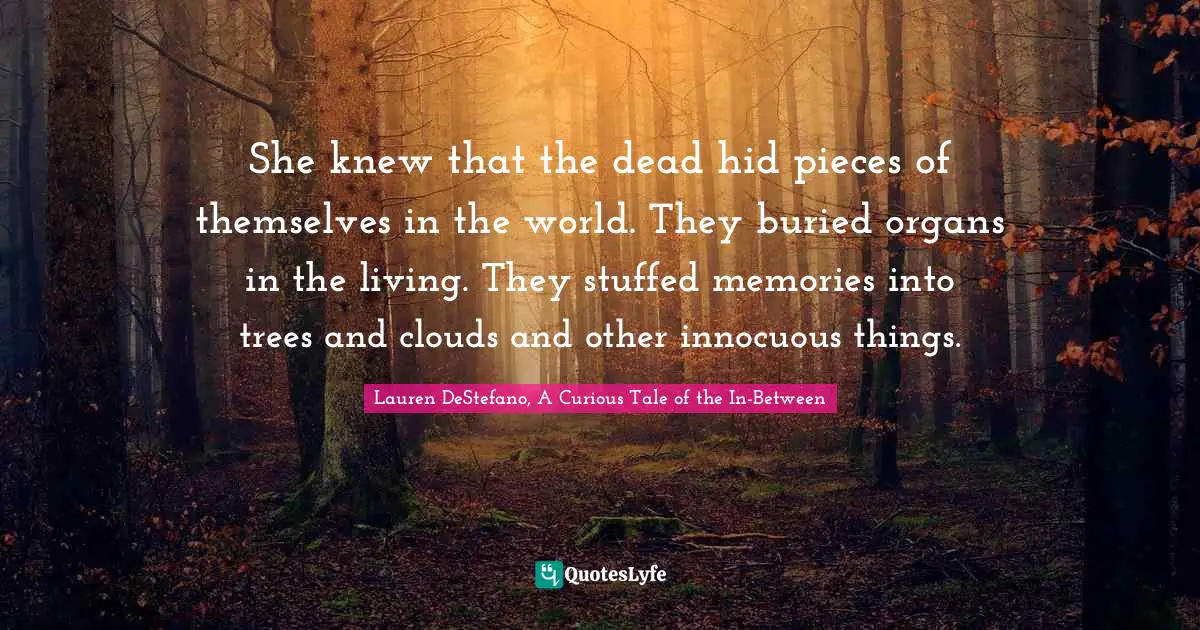 She knew that the dead hid pieces of themselves in the world. They buried organs in the living. They stuffed memories into trees and clouds and other innocuous things.