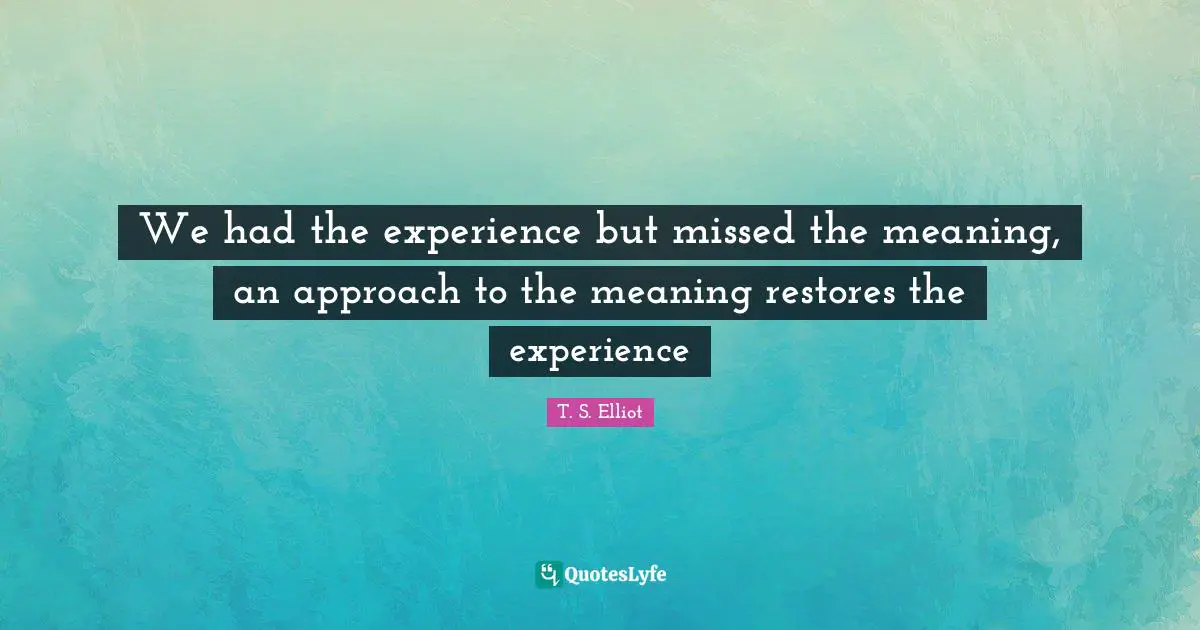 We had the experience but missed the meaning, an approach to the meaning restores the experience