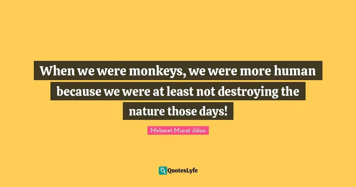 When we were monkeys, we were more human because we were at least not destroying the nature those days!
