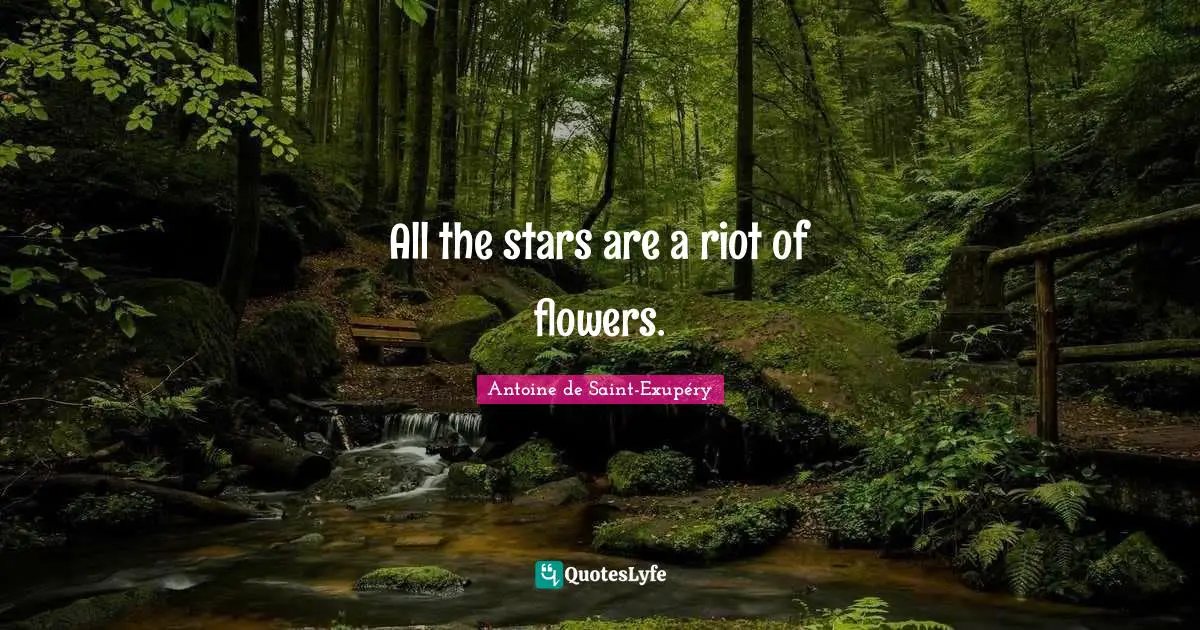 All the stars are a riot of flowers.