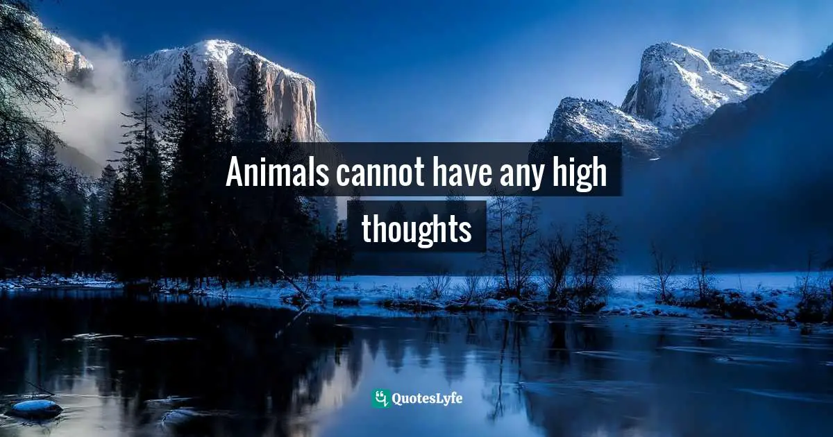 Animals cannot have any high thoughts