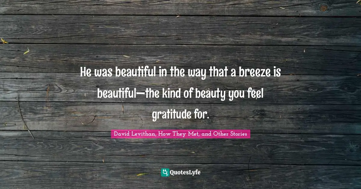 David Levithan, How They Met, And Other Stories Quotes: "He was beautiful in the way that a breeze is beautiful—the kind of beauty you feel gratitude for."