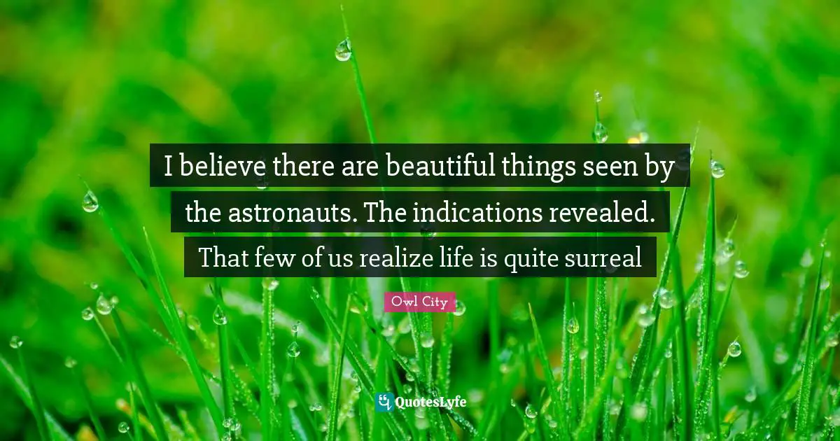 I believe there are beautiful things seen by the astronauts. The indications revealed. That few of us realize life is quite surreal