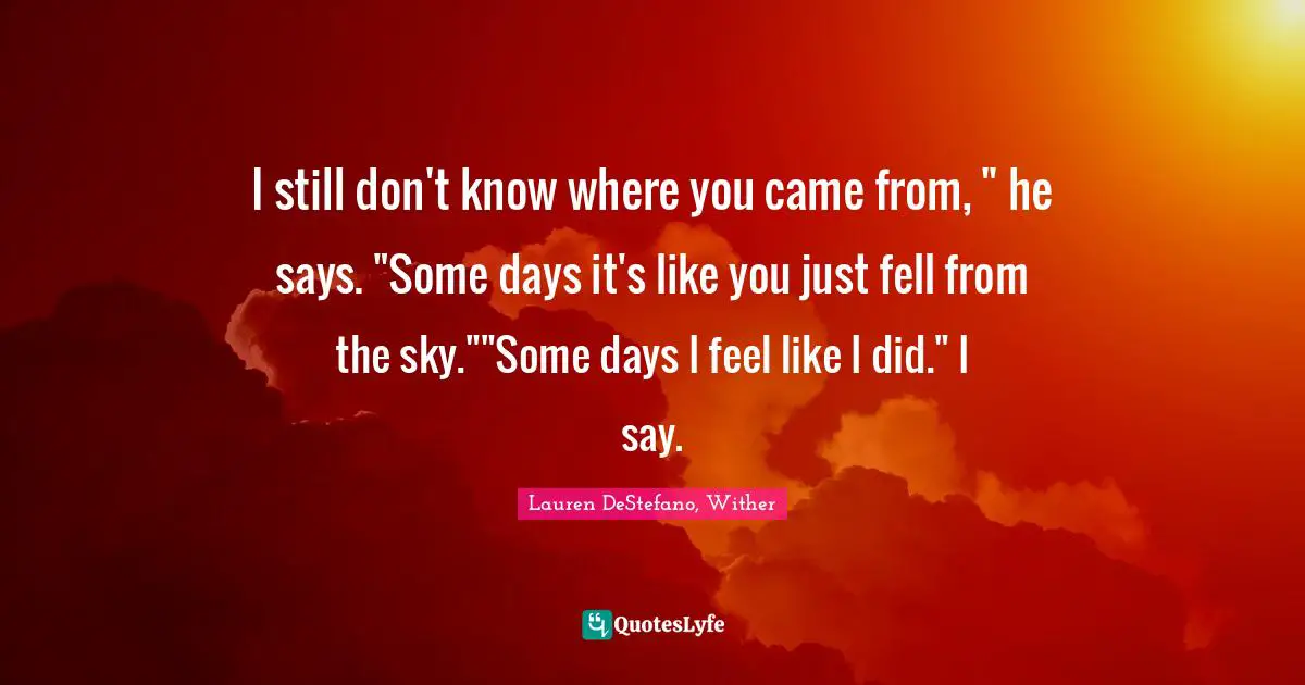 I still don't know where you came from, " he says. "Some days it's like you just fell from the sky.""Some days I feel like I did." I say.