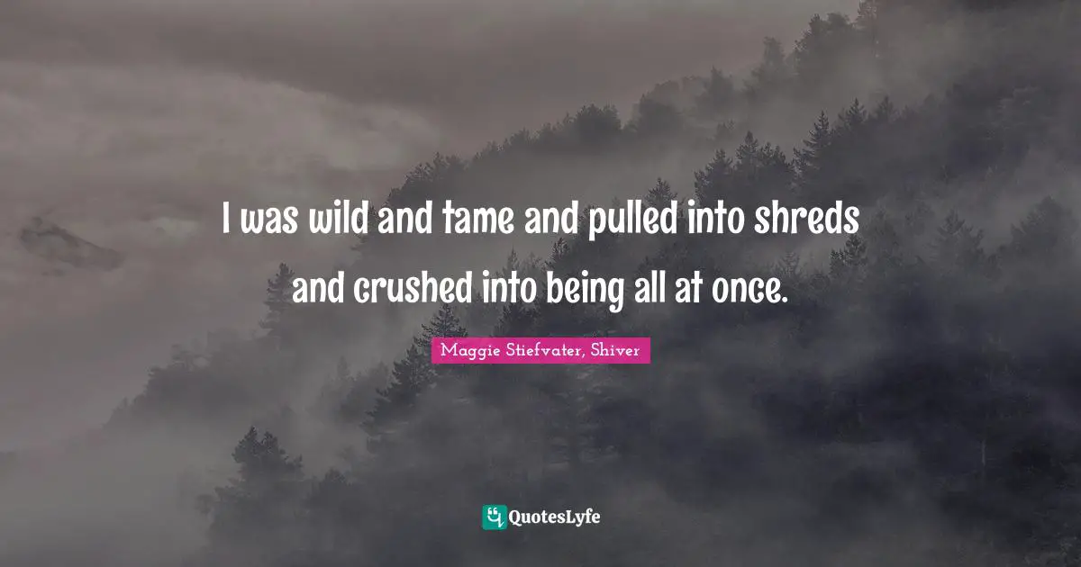 I was wild and tame and pulled into shreds and crushed into being all at once.
