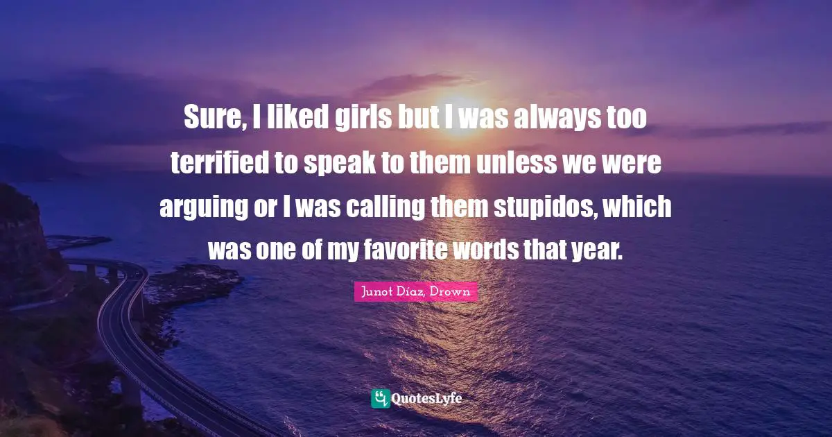 Sure, I liked girls but I was always too terrified to speak to them unless we were arguing or I was calling them stupidos, which was one of my favorite words that year.