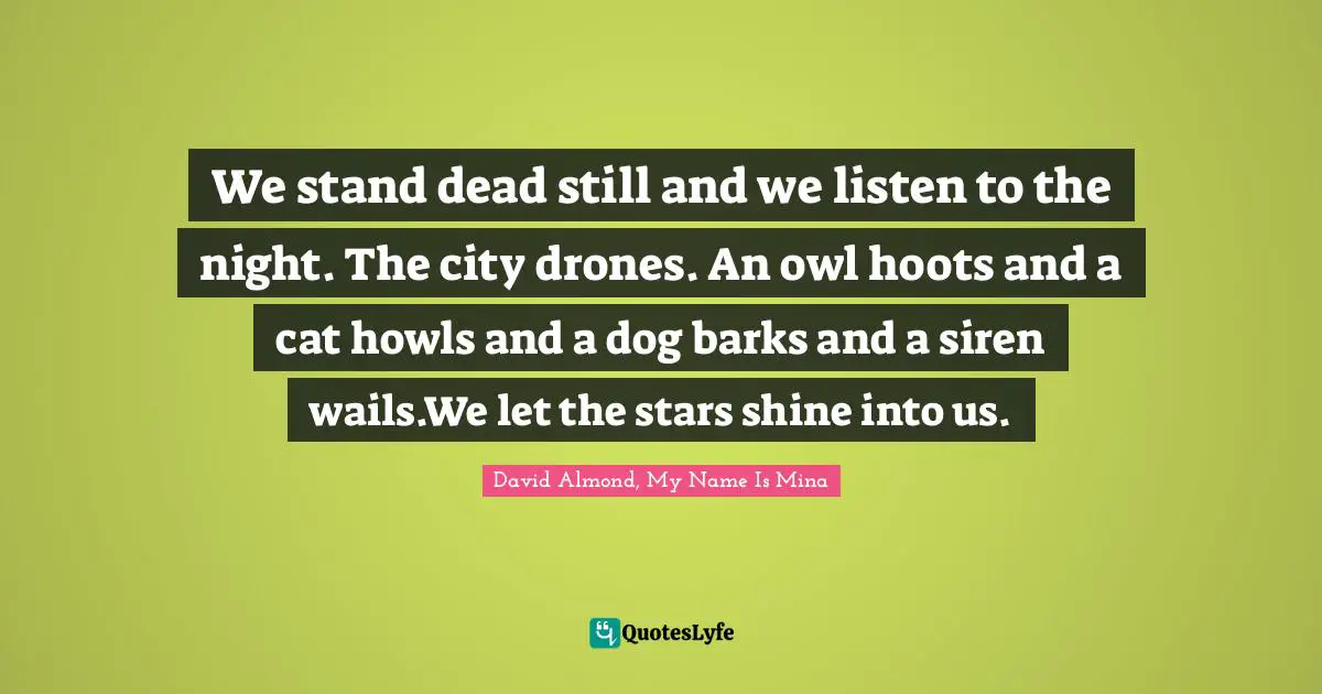 We stand dead still and we listen to the night. The city drones. An owl hoots and a cat howls and a dog barks and a siren wails.We let the stars shine into us.