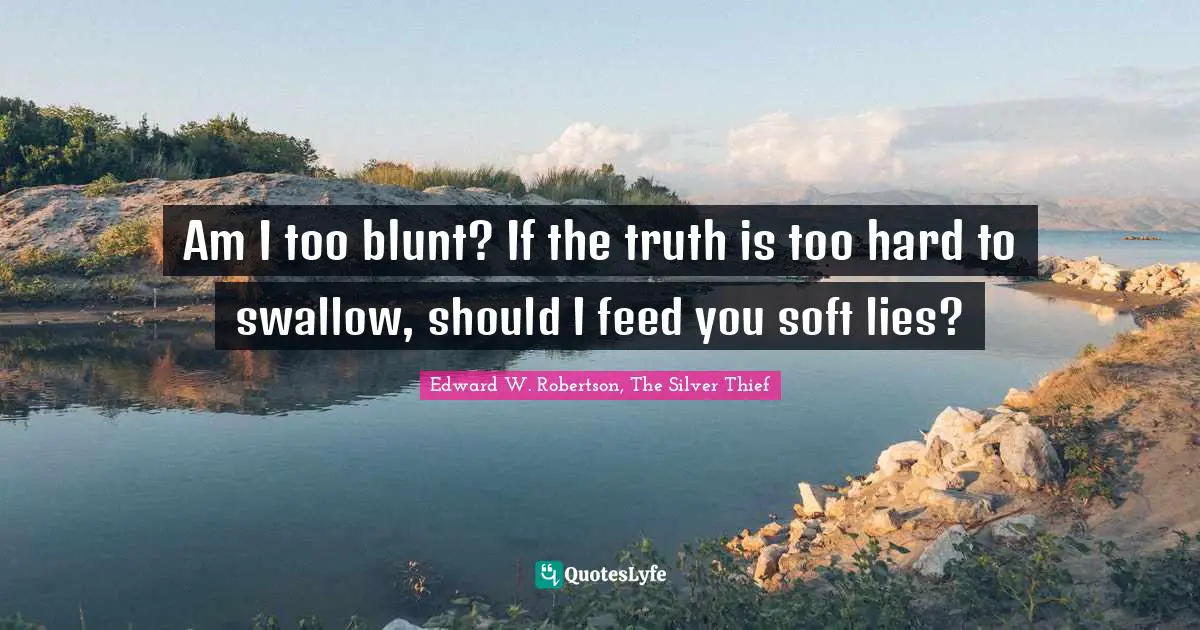 Am I too blunt? If the truth is too hard to swallow, should I feed you soft lies?