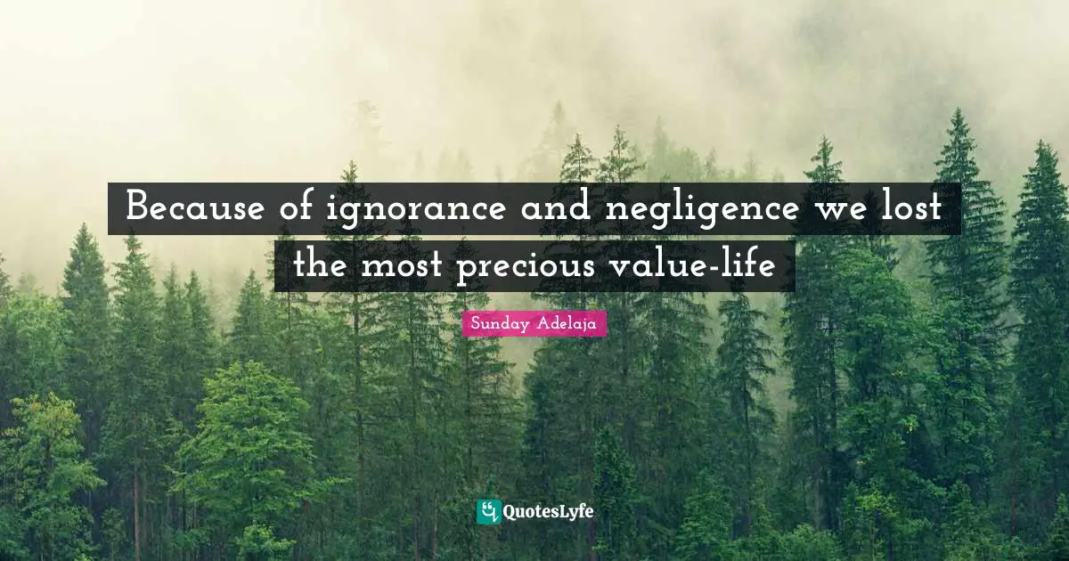 Because of ignorance and negligence we lost the most precious value-life