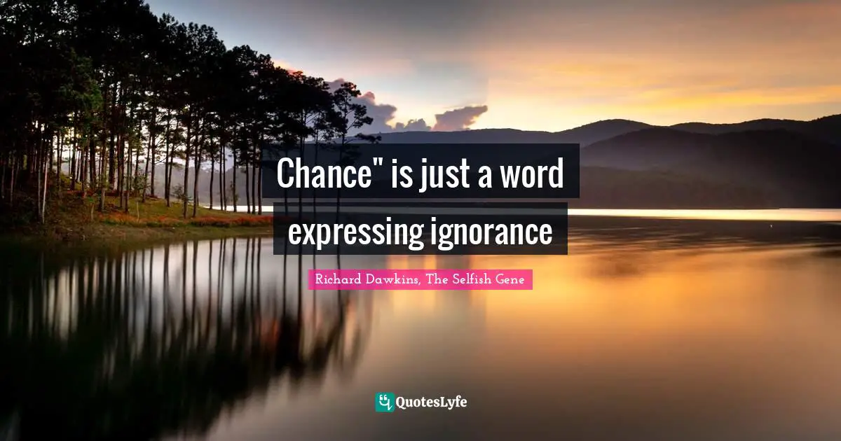 Chance" is just a word expressing ignorance