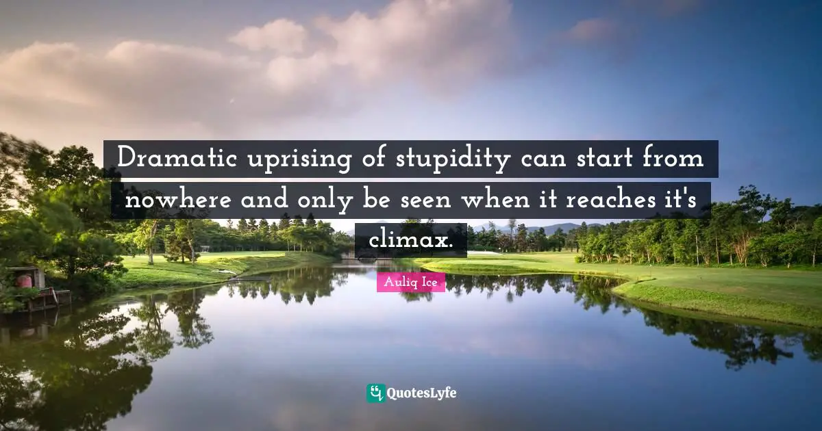 Dramatic uprising of stupidity can start from nowhere and only be seen when it reaches it's climax.