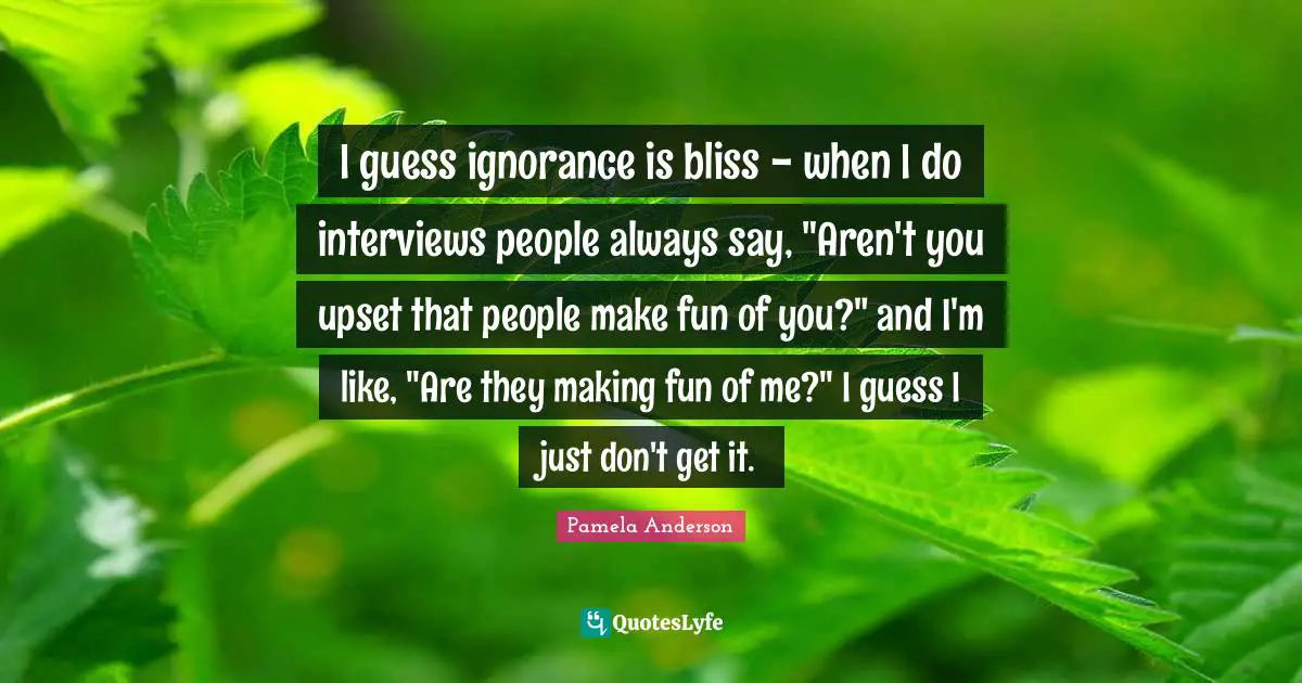 I guess ignorance is bliss - when I do interviews people always say, "Aren't you upset that people make fun of you?" and I'm like, "Are they making fun of me?" I guess I just don't get it.