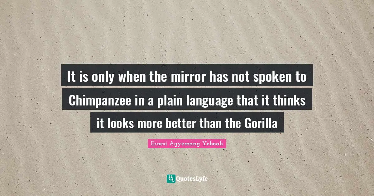 It is only when the mirror has not spoken to Chimpanzee in a plain language that it thinks it looks more better than the Gorilla