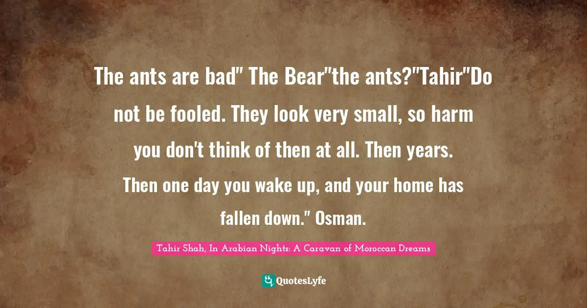 Tahir Shah, In Arabian Nights: A Caravan Of Moroccan Dreams Quotes: "The ants are bad" The Bear"the ants?"Tahir"Do not be fooled. They look very small, so harm you don't think of then at all. Then years. Then one day you wake up, and your home has fallen down." Osman."