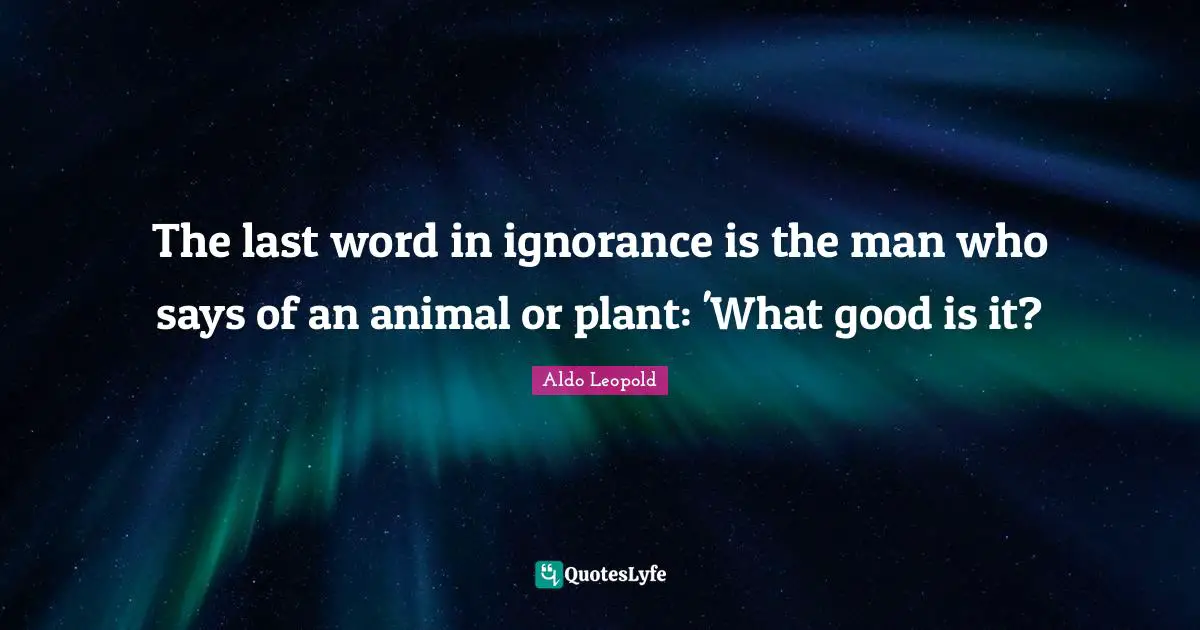The last word in ignorance is the man who says of an animal or plant: 'What good is it?