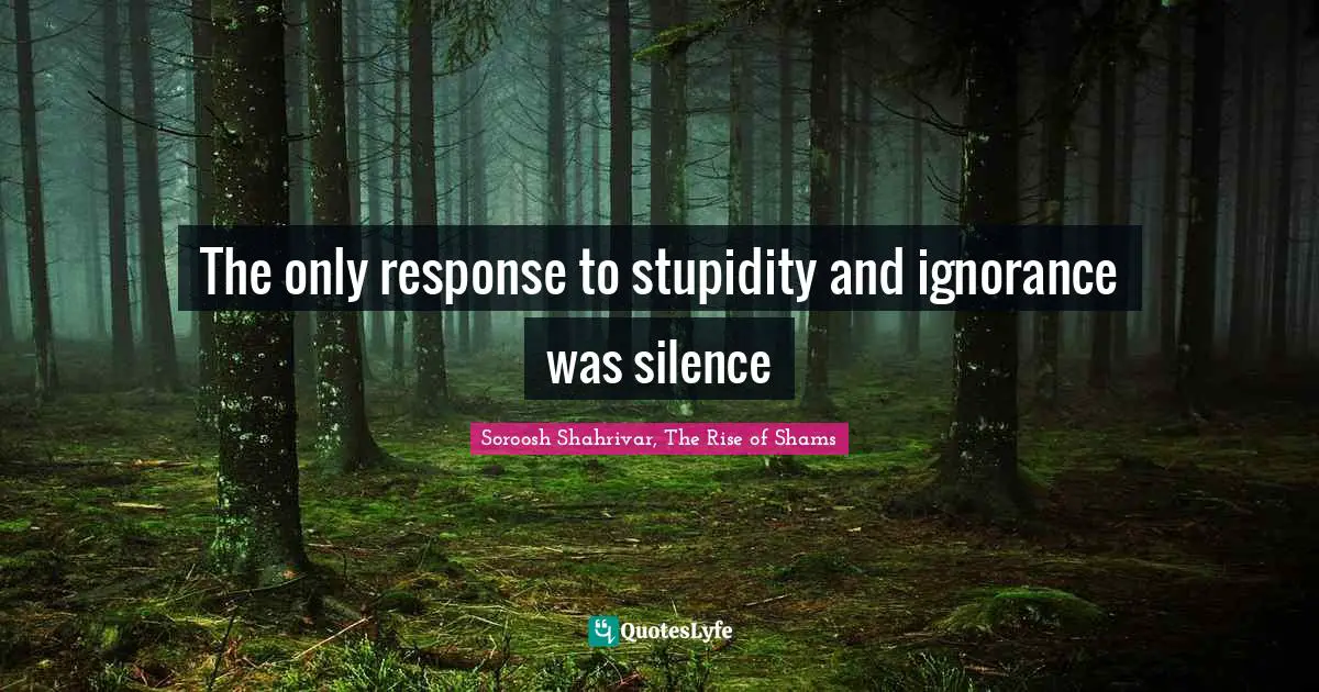 The only response to stupidity and ignorance was silence