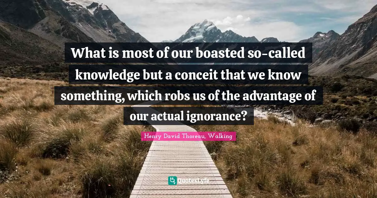 What is most of our boasted so-called knowledge but a conceit that we know something, which robs us of the advantage of our actual ignorance?