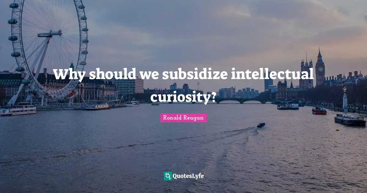 Why should we subsidize intellectual curiosity?