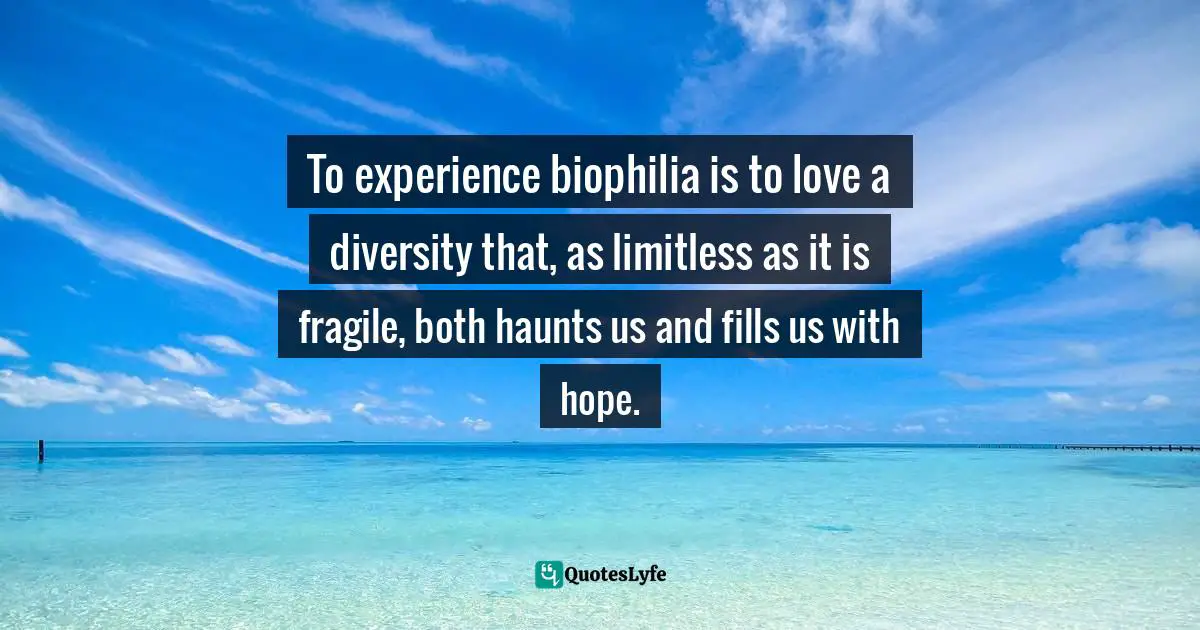 To experience biophilia is to love a diversity that, as limitless as it is fragile, both haunts us and fills us with hope.