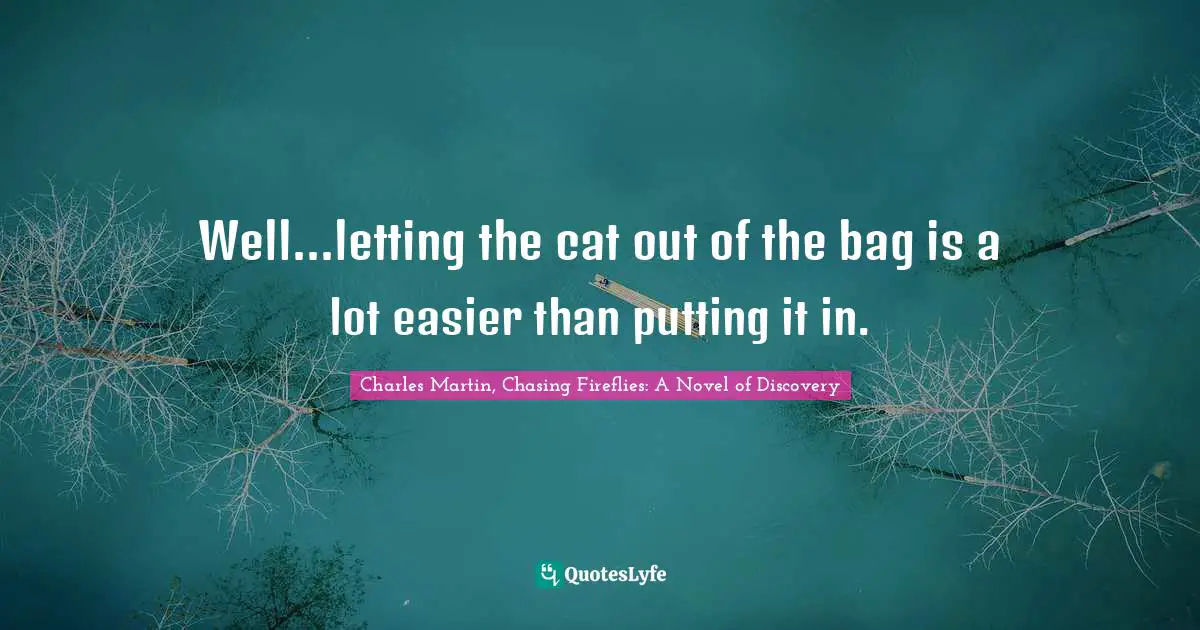 Well...letting the cat out of the bag is a lot easier than putting it in.