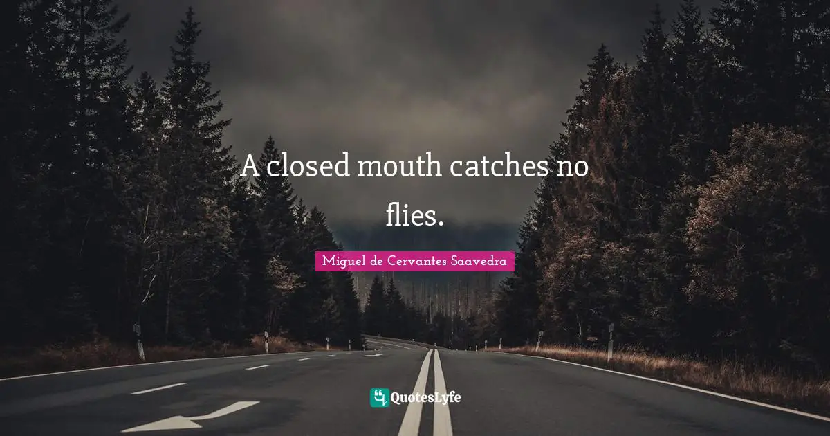 A closed mouth catches no flies.