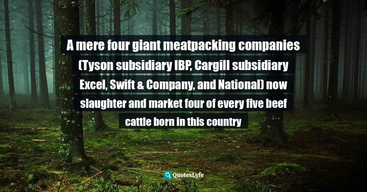 A mere four giant meatpacking companies (Tyson subsidiary IBP, Cargill subsidiary Excel, Swift & Company, and National) now slaughter and market four of every five beef cattle born in this country