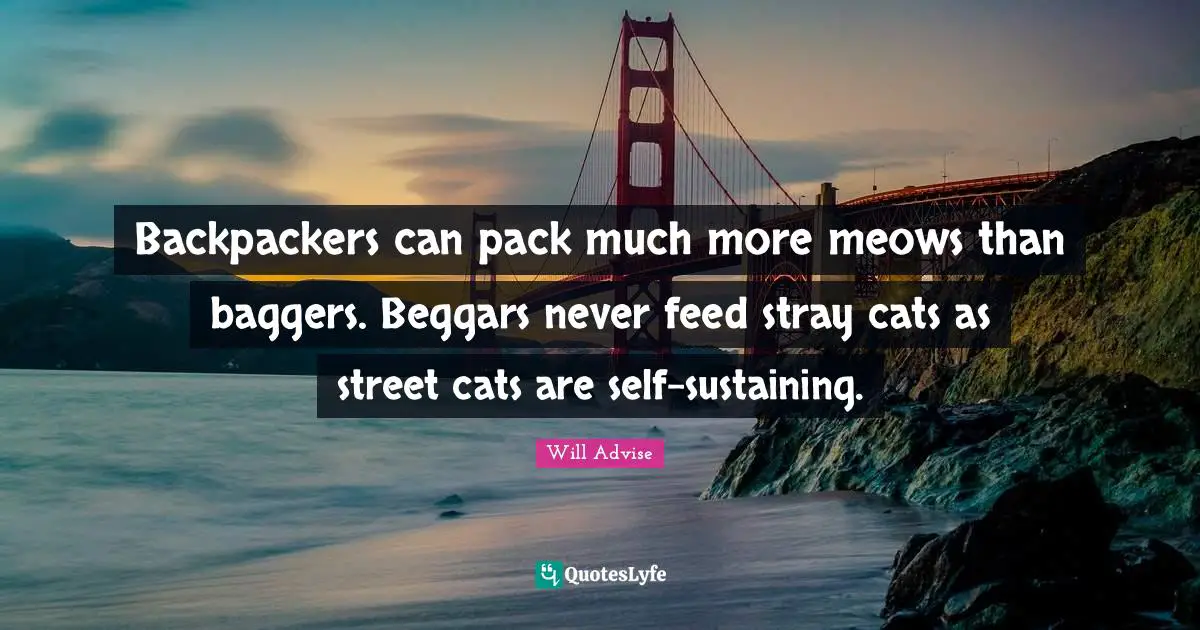 Backpackers can pack much more meows than baggers. Beggars never feed stray cats as street cats are self-sustaining.