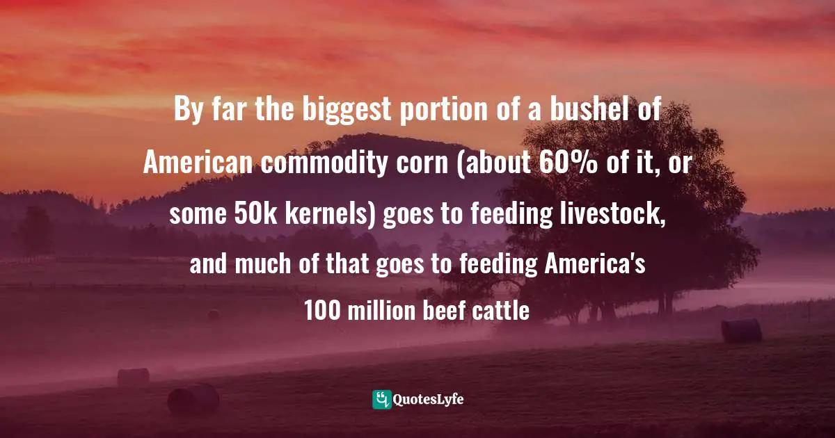 By far the biggest portion of a bushel of American commodity corn (about 60% of it, or some 50k kernels) goes to feeding livestock, and much of that goes to feeding America's 100 million beef cattle