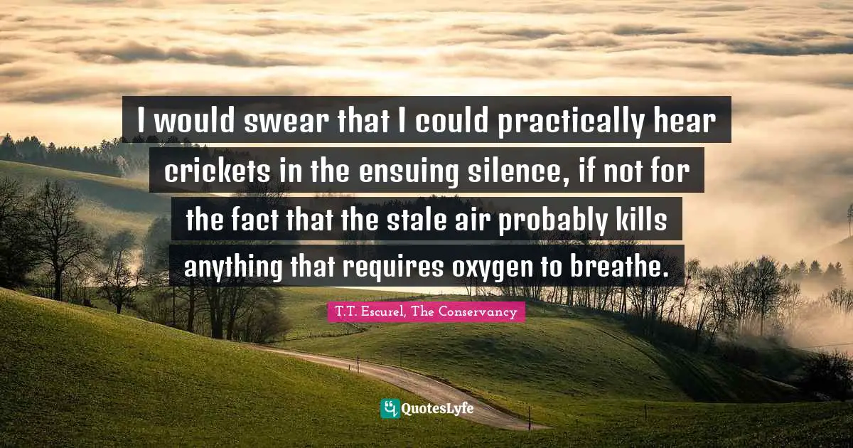 I would swear that I could practically hear crickets in the ensuing silence, if not for the fact that the stale air probably kills anything that requires oxygen to breathe.