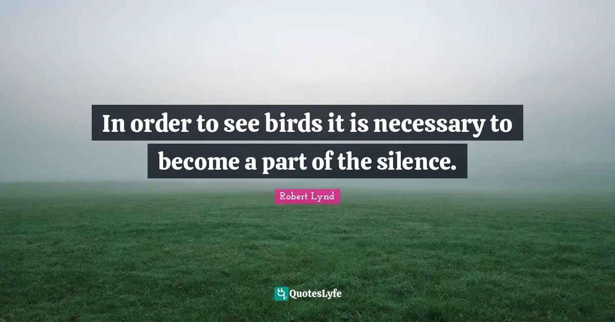 In order to see birds it is necessary to become a part of the silence.